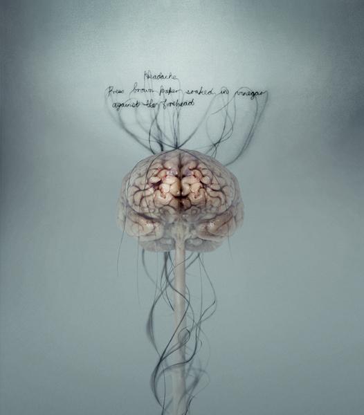 http://www.diplox.com/focolog/ima/a773ba6b7d557c0f8850c08c5f45d560M3094.jpg