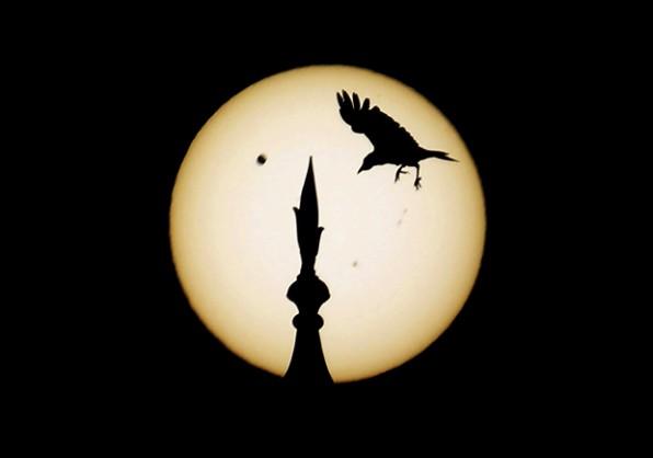 http://www.diplox.com/focolog/ima/e70b45150c9debd9aef003ad201c0e3bM901.jpg