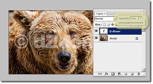 C�mo borrar / quitar marcas de agua de fotograf�as / im�genes. [Recopilaci�n de varios m�todos]+[Adobe Photoshop CS3 Portable]
