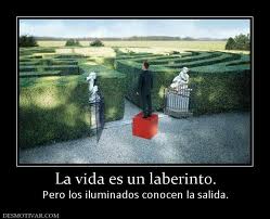 FRASE DIARIA