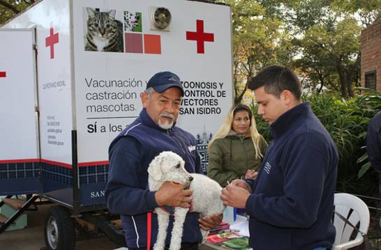 San Isidro: Castración y vacunación gratuita de mascotas