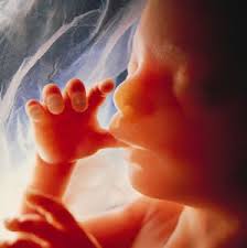 Nueva ofensiva legislativa a favor del aborto