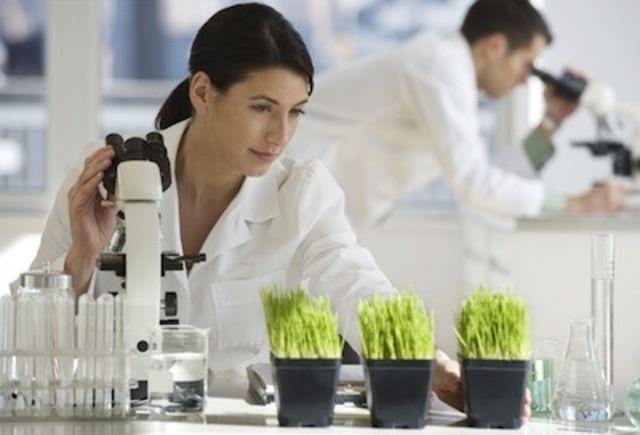 Desarrollan medicamento natural contra la diabetes tipo 2