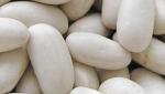 salud, nutrientes:, el, hierro, en, nuestro, organismo
