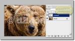 C�mo borrar / quitar marcas de agua de fotograf�as / im�genes. [Recopilaci�n de varios m�todos]+[Adobe Photoshop CS3 Portable]