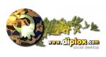 Ver Perfil de Equipo Diplox