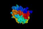 ciencia, y, tecnolog�a, cient�ficos, argentinos, desarrollan, un, m�todo, eficaz, y, econ�mico, para, purificar, la, eritropoyetina, una, hormona, terap�utica